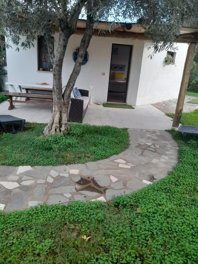 לינה וארוחת בוקר אולביה Giardino Del Sole מראה חיצוני תמונה