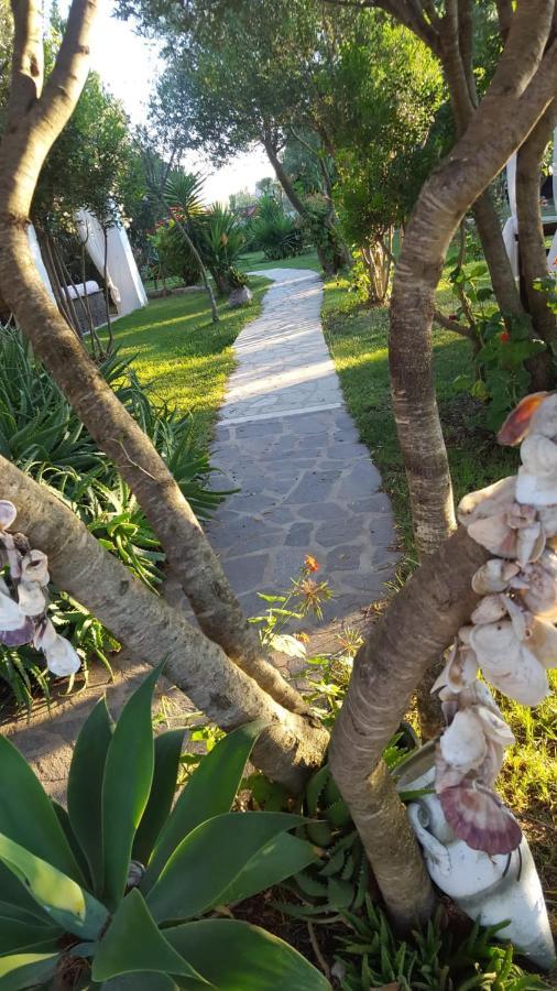 לינה וארוחת בוקר אולביה Giardino Del Sole מראה חיצוני תמונה